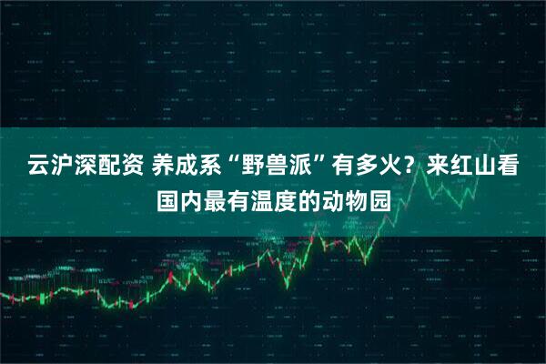 云沪深配资 养成系“野兽派”有多火？来红山看国内最有温度的动物园