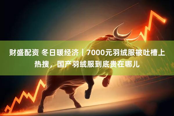 财盛配资 冬日暖经济｜7000元羽绒服被吐槽上热搜，国产羽绒服到底贵在哪儿