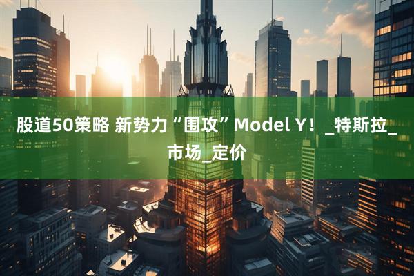 股道50策略 新势力“围攻”Model Y！_特斯拉_市场_定价