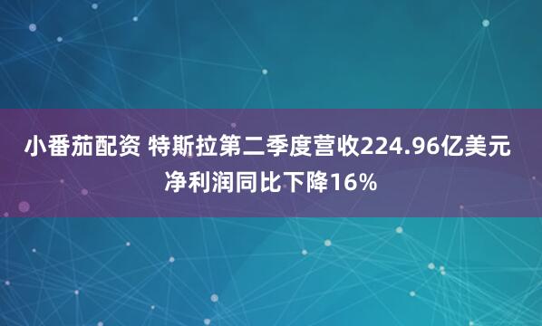 小番茄配资 特斯拉第二季度营收224.96亿美元 净利润同比下降16%